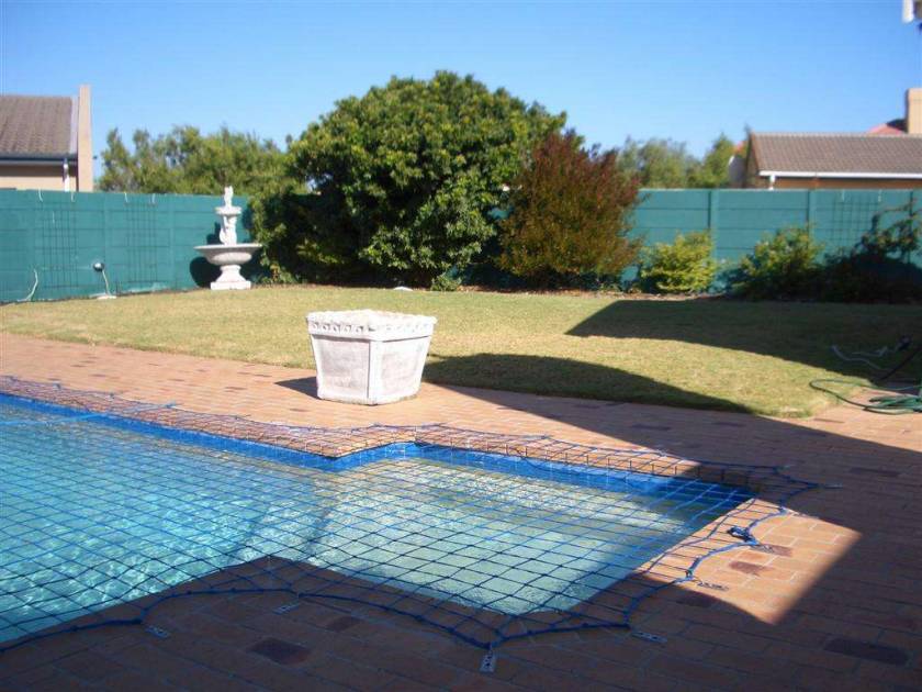Pool and rear garden